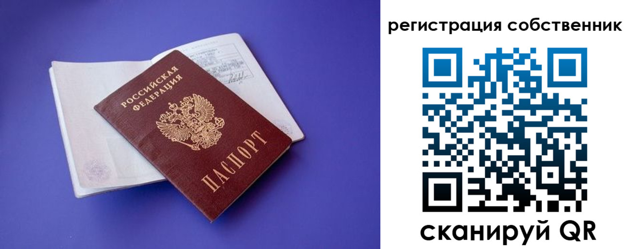 прописка штамп в Александровске